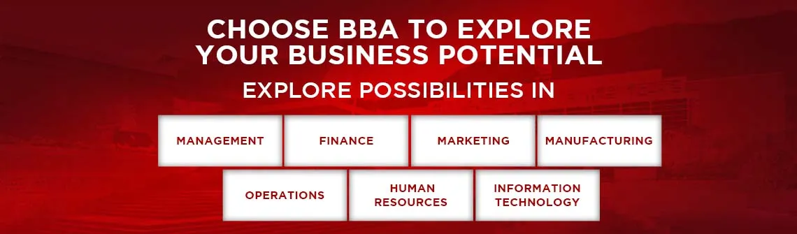 7 Promising Career Options After BBA